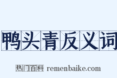 鸭头青反义词是什么意思的图片